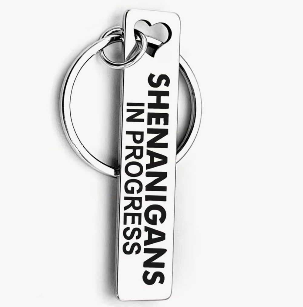 3/$25 Shenanigans In Progress Stainless Steel Keychain NEW